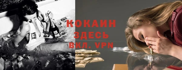 твердый Алексеевка