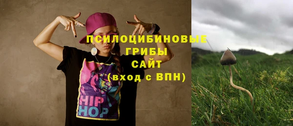 амф Алексин