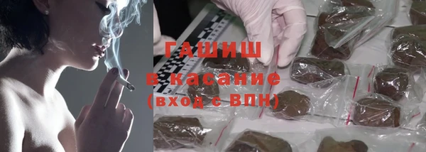 шишки Алзамай