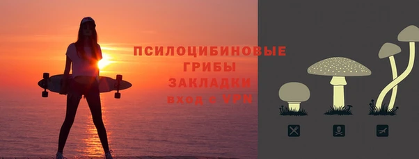 шишки Алзамай