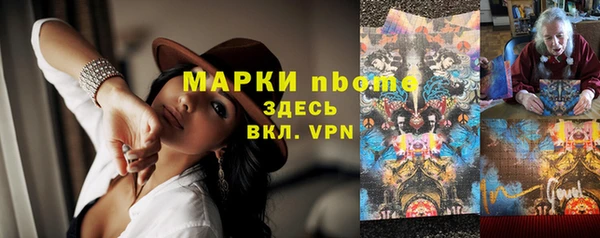 шишки Алзамай