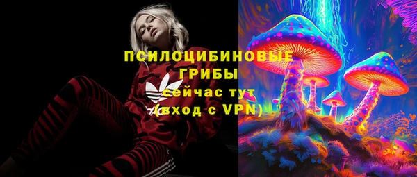 шишки Алзамай