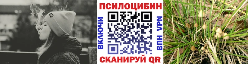 купить наркоту  Чёрмоз  МЕГА ССЫЛКА  Псилоцибиновые грибы GOLDEN TEACHER 